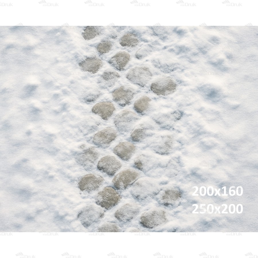 Tło fotograficzne – Ośnieżony kamienny trakt | 3648